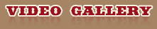 Video Gallery